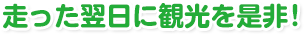 宇和島へようこそ